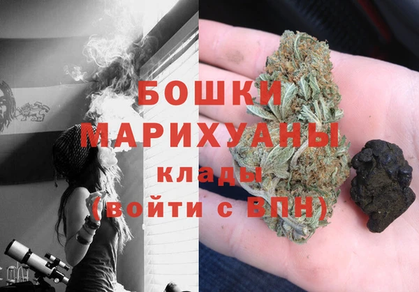 гидра Абаза