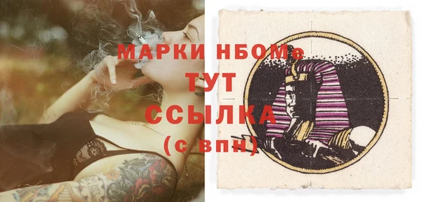 гидра Абаза
